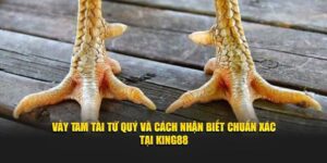 Vảy tam tài tứ quý King88